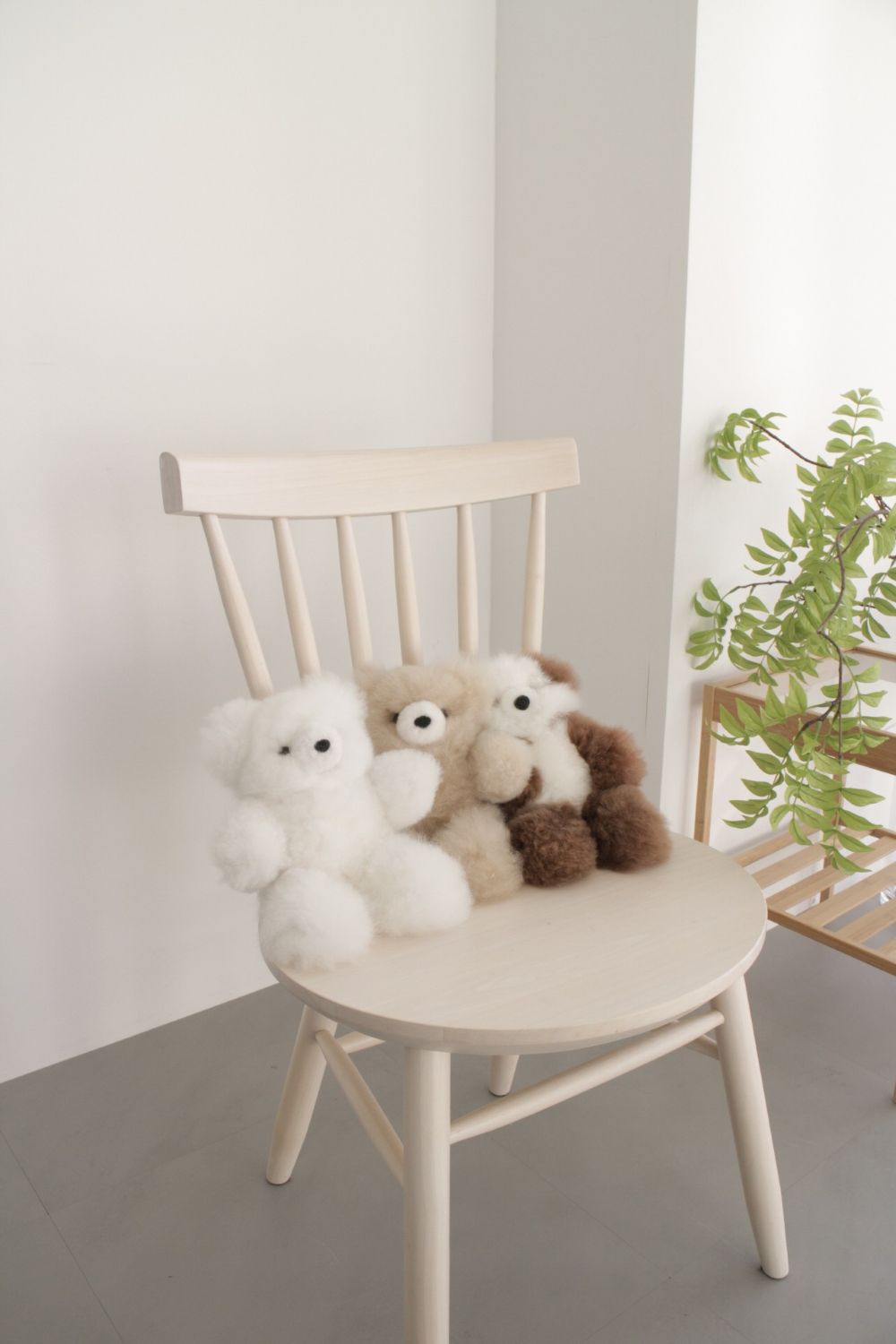 アルパカ毛のテディベア